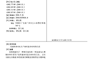 用废料和CO2生产纳米复合材料的方法