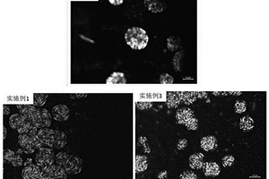 纤维素衍生物改性聚（β-羟基丁酸戊酸酯）复合材料及其制备方法