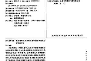 模压塑料及用该模压塑料制造软磁复合材料的方法