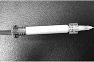 可注射磷酸钙/天然高分子复合材料及其制备方法和应用