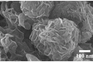 二硫化钼/四氧化三铁磁性纳米复合材料及其制备方法和应用