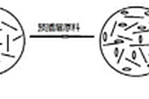 聚醚醚酮/石墨纳米复合材料、其制备方法及其应用