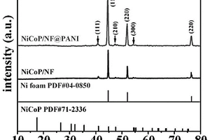 电解水析氢催化剂NiCoP/NF@PANI复合材料及其制备方法