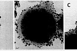 Fe3O4-聚多巴胺-Au纳米复合材料及其制备方法和应用