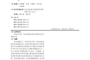 硅铝分子筛-氧化铝复合材料及其原位生长制备方法