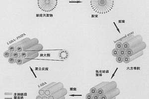 纳米复合材料的原位制备方法