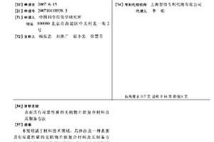 表面具有双重性质的无机物片状复合材料及其制备方法