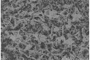 TaN/BiVO<sub>4</sub>异质结复合材料及其制备方法和应用