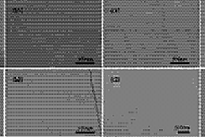 低模量高介电常数的聚氨酯弹性体分子复合材料及其制备方法