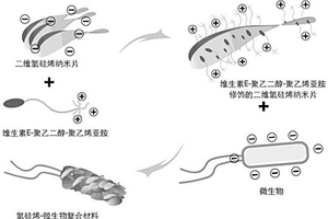 二维氢硅烯-微生物复合材料及其制备方法和应用