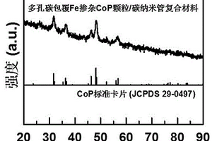 多孔碳包覆Fe掺杂CoP颗粒/碳纳米管析氧电催化复合材料及其制备方法和应用
