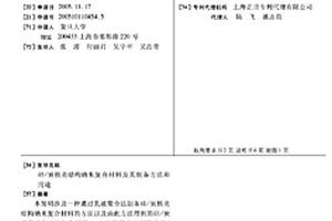硅/炭核壳结构纳米复合材料及其制备方法和用途