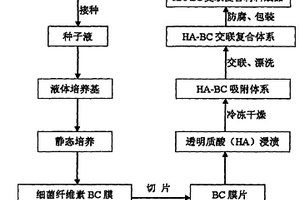 细菌纤维素/透明质酸复合材料的制备方法