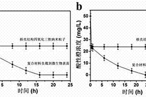 具有核壳结构的磁性纳米粒子微生物复合材料及其制备方法与在偶氮染料处理中的应用