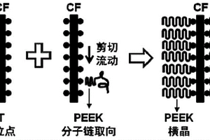 具有全横晶结构的CF/PEEK复合材料及其制备方法