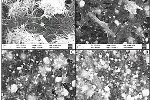 Ag-MnO<Sub>2</Sub>纳米线复合材料及其制备方法与在检测胸腺嘧啶含量中的应用