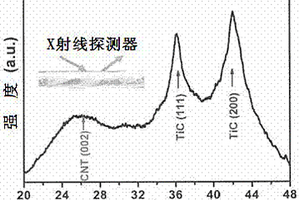具有增强特性的碳纳米管复合材料制备方法