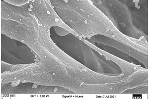 纤维素负载纳米银复合材料及制备方法和应用