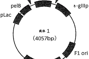 抗体、使用其的复合材料、检测装置和方法