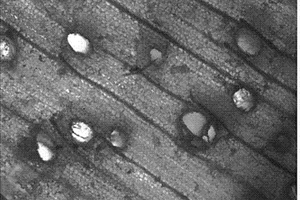 纳米氢氧化物木材复合材料及其制备方法