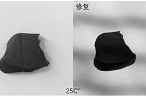 自修复弹性体聚硅氧烷复合材料及其制备方法