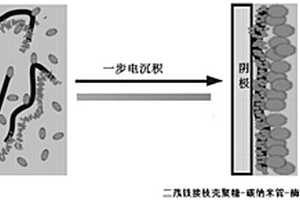 二茂铁接枝壳聚糖-碳纳米管-酶复合膜修饰三维石墨烯复合材料及其制备方法