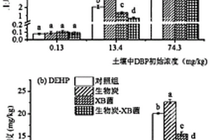 生物炭-降解菌复合材料及其在修复PAEs污染土壤中的应用