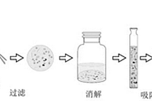 磁性复合材料在去除塑料碎片中的应用
