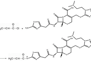 具有抗菌作用的高分子及其复合材料