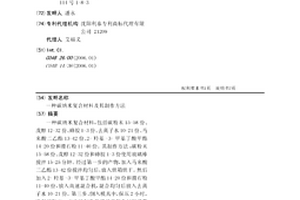 碳纳米复合材料及其制作方法