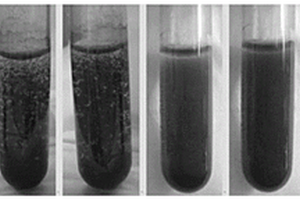 基于碳纳米管聚多巴胺复合材料微生物燃料电池的方法