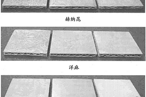 对环境友好的阻燃性生物复合材料及其制造方法