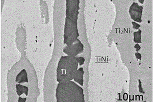 增强TiNi层状复合材料及其制备方法