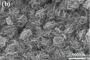 碳包覆硫化钼/水葫芦生物质碳复合材料及其制备方法和用途