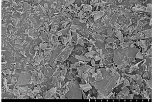 铁基生物炭海绵复合材料及其制备方法和应用