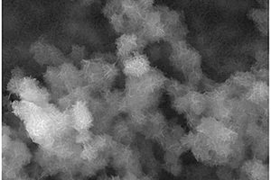 ZnO-C<sub>3</sub>N<sub>4</sub>-CQDs可见光催化复合材料及其制备方法