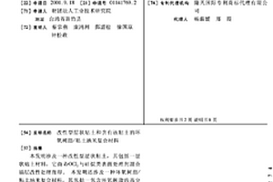 改性型层状粘土和含有该粘土的环氧树脂/粘土纳米复合材料