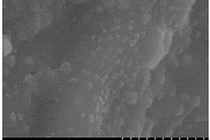 In<sub>2</sub>O<sub>3</sub>/剑麻纤维基碳复合材料的制备方法及其应用