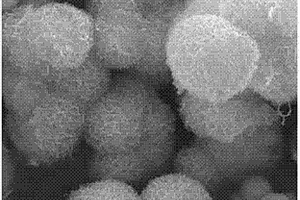BiOI复合材料及其制备方法和应用