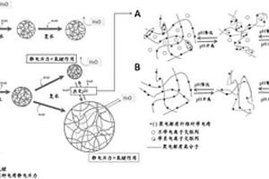 具有温度响应细菌纳米纤维素复合材料及其制备方法和应用