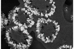 圆环状纳米二氧化锗/聚离子液体复合材料及其制备方法和应用