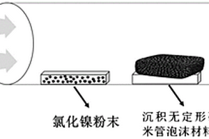 金属-碳纳米管泡沫复合材料及其制备方法与应用