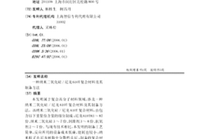 纳米二氧化硅/尼龙610T复合材料及其制备方法