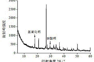 用于评价水泥基复合材料碳化前沿的方法
