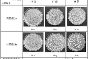 层状硅酸盐/大蒜素-芽孢杆菌抗菌复合材料及其制备方法、应用