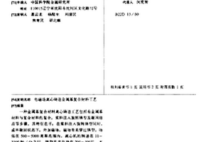 电磁场离心铸造金属基复合材料工艺