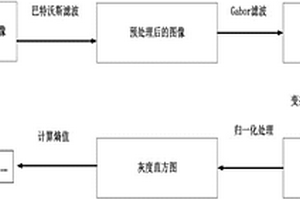 基于频谱法的Gabor变换实现碳纤维复合材料表面纹理分析方法