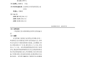 浇铸尼龙6的纳米复合材料及其制备方法