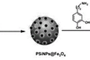 PSiNPs@Fe<Sub>3</Sub>O<Sub>4</Sub>复合材料及其制备方法与应用