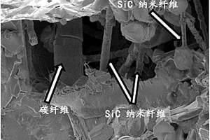 原位生长碳化硅纳米纤维协同碳纤维共增陶瓷基复合材料的制备方法